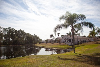 Home On The Bayou